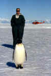 Me&Penguin.jpg (61472 bytes)